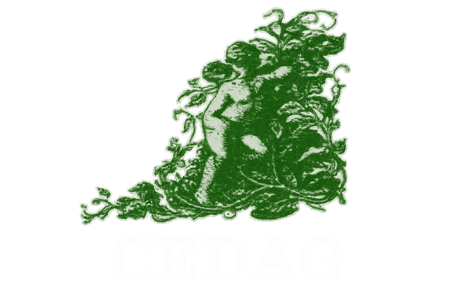 The Child Development Association The Gambia (CEDAG)