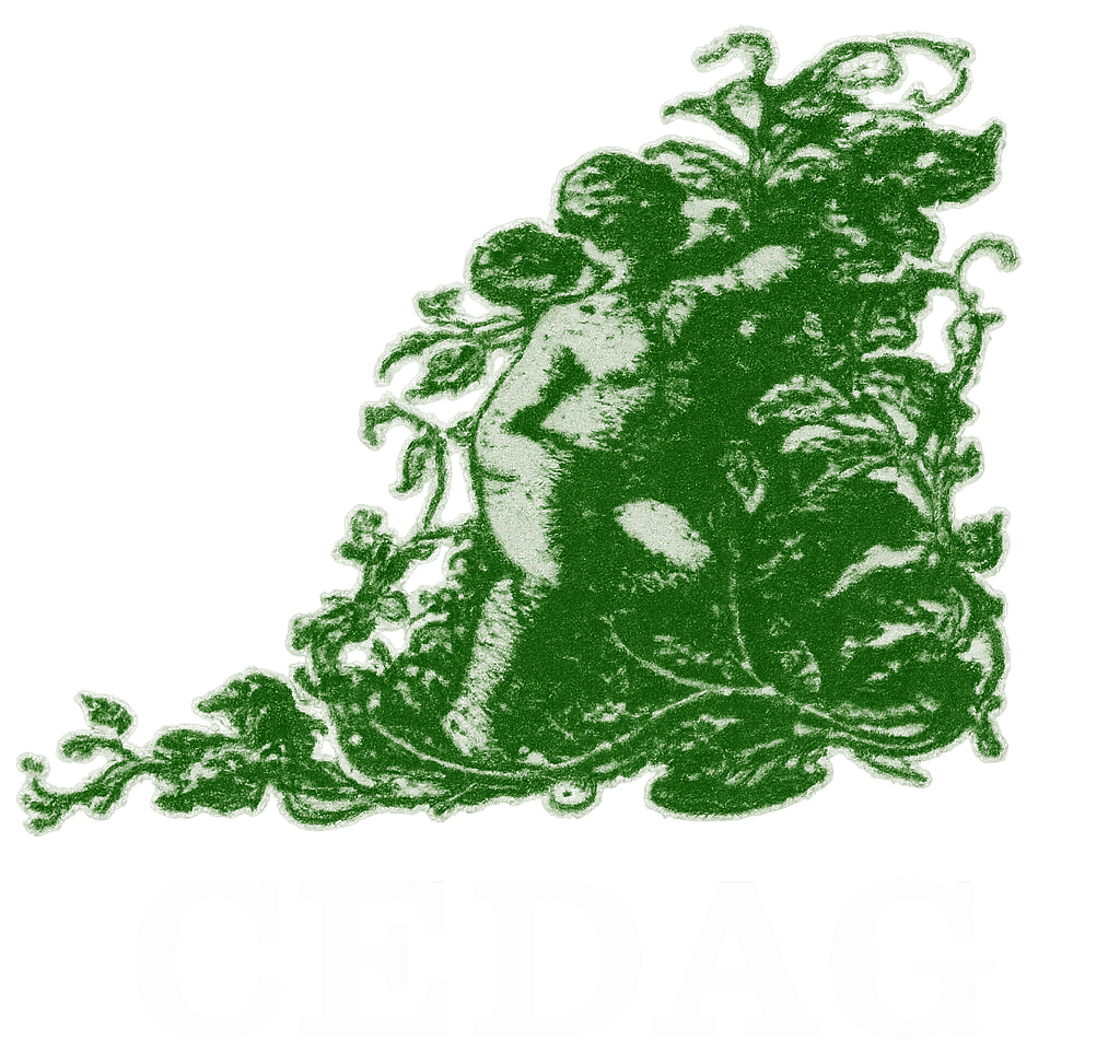 The Child Development Association The Gambia (CEDAG)